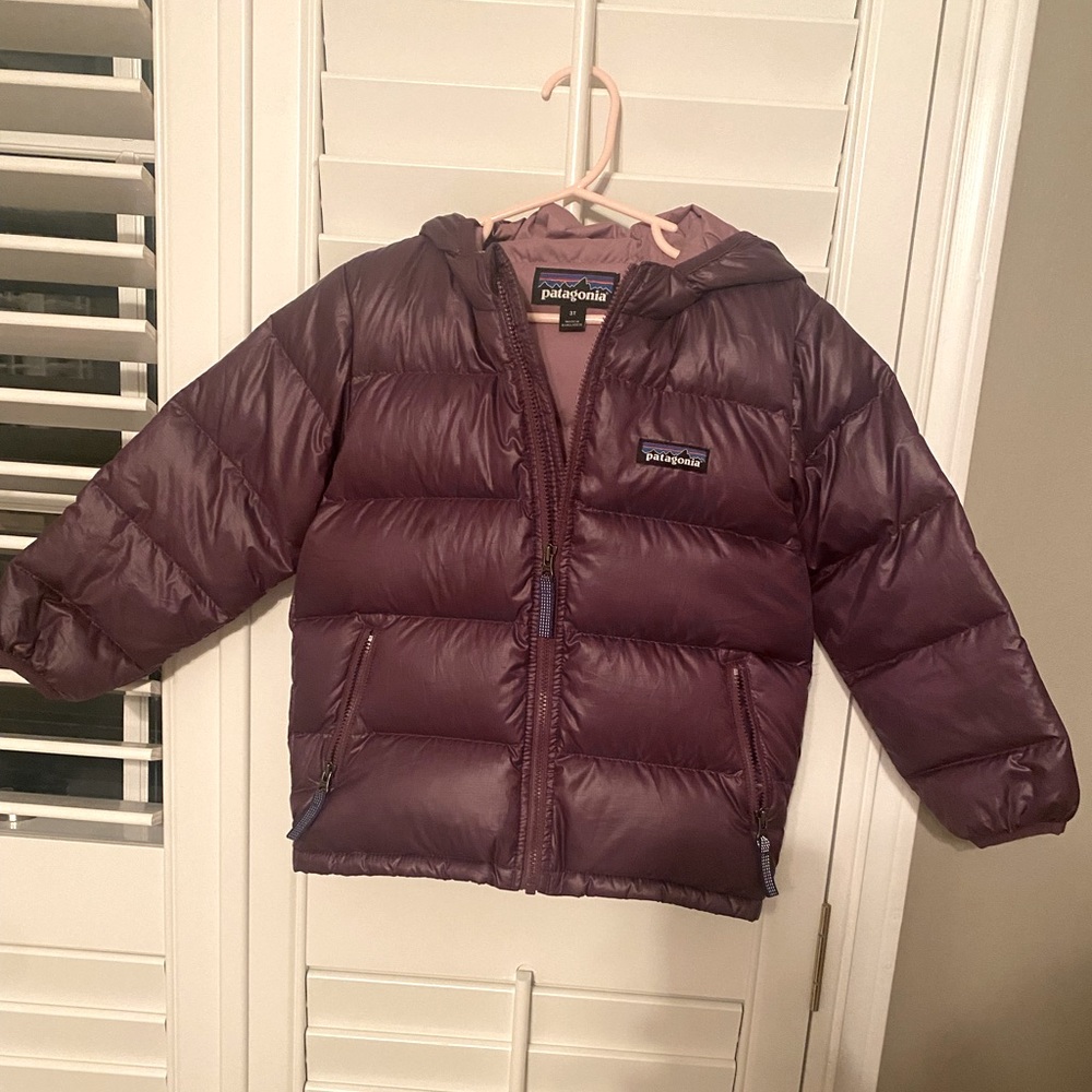 Toddler Girl Patagonia Down Jacket with Hood